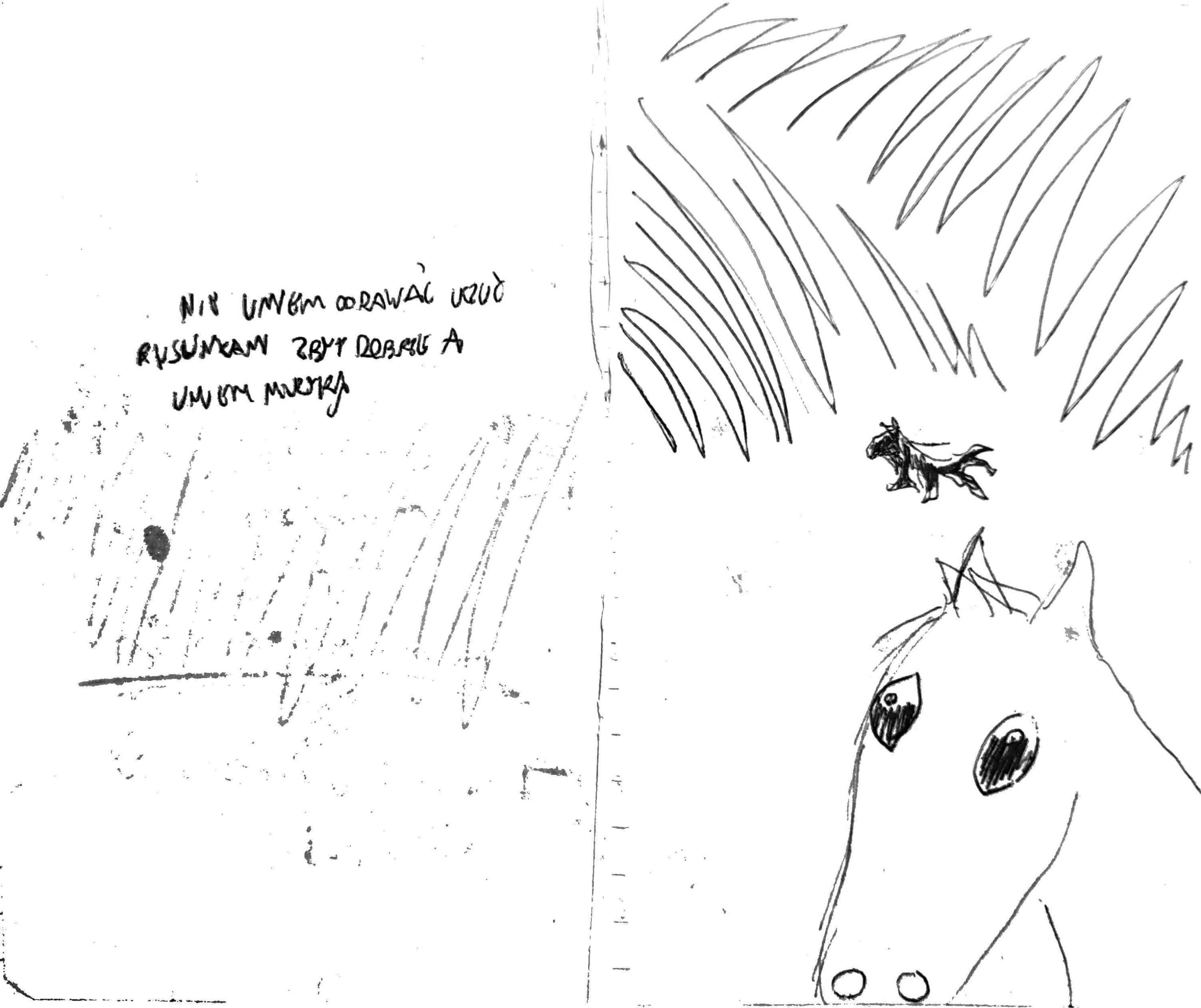 poor you, you can't see the horse :(